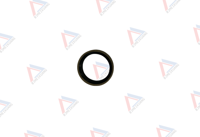 密封环 MK873.0385-00